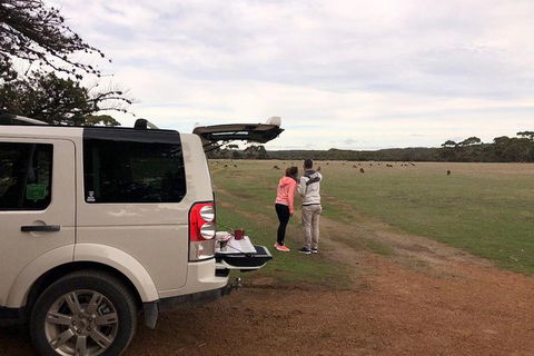 NEW TOUR - Flinders Chase Tour (Recovering From Fires) - Tourism Caloundra 6