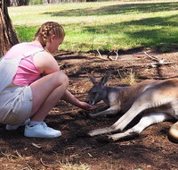 Adelaide Driving Tour - Tourism Caloundra