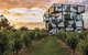 8-Hour McLaren Vale Winery Tour From Adelaide - thumb 0