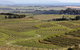 8-Hour McLaren Vale Winery Tour From Adelaide - thumb 3