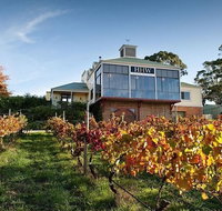 Adelaide Hills Full Day Winery Tour with Tastings - Tourism Caloundra