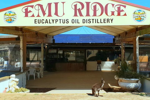 Full-Day Kangaroo Island Safari From Penneshaw - Tourism Caloundra 3