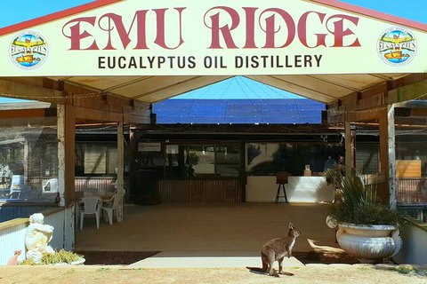 2-Day Kangaroo Island Safari From Adelaide - Tourism Caloundra 14