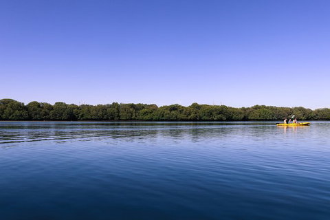 Dolphin Sanctuary Kayaking In Adelaide - Tourism Caloundra 2