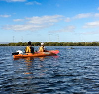 Dolphin Sanctuary Kayaking in Adelaide - Tourism Caloundra
