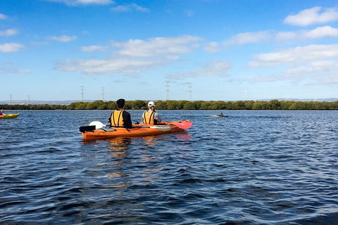 Dolphin Sanctuary Kayaking In Adelaide - Tourism Caloundra 0