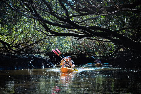 Dolphin Sanctuary Kayaking In Adelaide - Tourism Caloundra 4