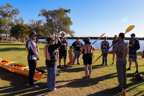 Dolphin Sanctuary Kayaking In Adelaide - Tourism Caloundra 6