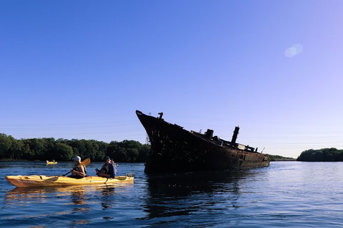 Dolphin Sanctuary Kayaking In Adelaide - Tourism Caloundra 5