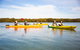 Dolphin Sanctuary Kayaking In Adelaide - thumb 1