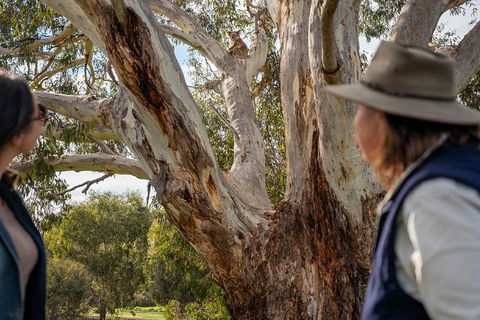 NEW TOUR - Kangaroo Island Road To Recovery Tour (1 Day/1 Night) - Tourism Caloundra 2