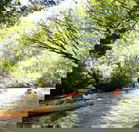Paddle with the Platypus Twilight Kayak Adventure - Tourism Caloundra