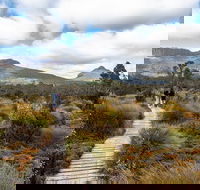 Cradle Mountain Day Tour - Tourism Caloundra