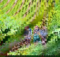 Tasmanian Wine Tour - Tourism Caloundra