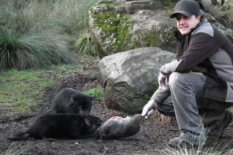 After Dark Tasmanian Devil Feeding Tour At Cradle Mountain - Tourism Caloundra 0