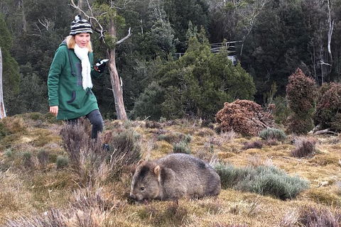 Shore Excursion - Cradle Mountain Day Tour From Burnie - Tourism Caloundra 1