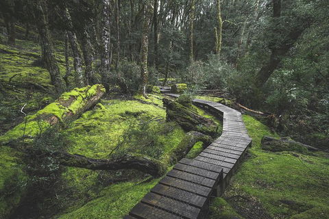 Shore Excursion - Cradle Mountain Day Tour From Burnie - Tourism Caloundra 2