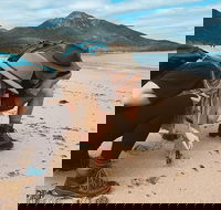 Freycinet Walking Tour - Tourism Caloundra