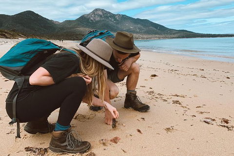 Freycinet Walking Tour - Tourism Caloundra 0