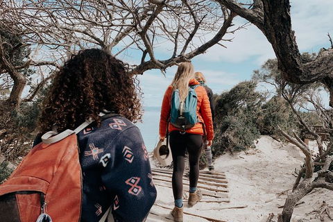 Freycinet Walking Tour - Tourism Caloundra 6