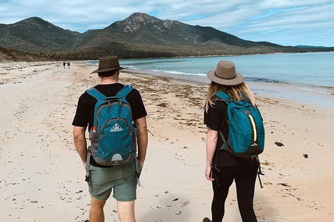 Freycinet Walking Tour - Tourism Caloundra 7