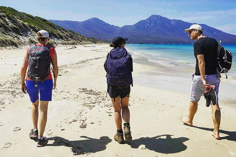 Freycinet Walking Tour - Tourism Caloundra 1