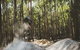 Send IT 4 Day Derby & St Helens MTB Experience - thumb 1