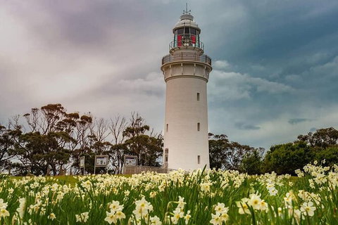 Table Cape Lighthouse Tours - Tourism Caloundra 7