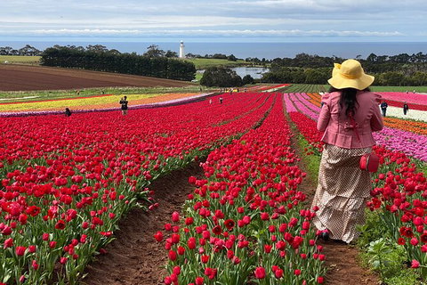 Table Cape Lighthouse Tours - Tourism Caloundra 0