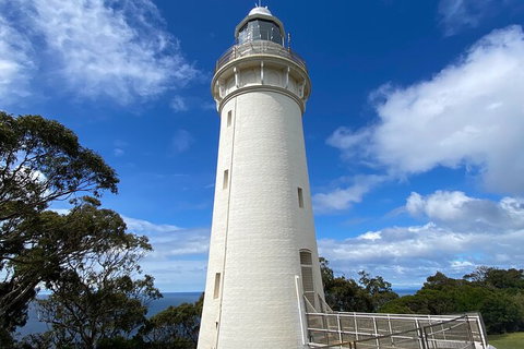 Table Cape Lighthouse Tours - Tourism Caloundra 4