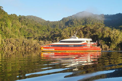 Afternoon Gordon River Dinner Cruise - Departing 3pm - Tourism Caloundra 1