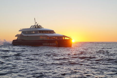 Afternoon Gordon River Dinner Cruise - Departing 3pm - Tourism Caloundra 0