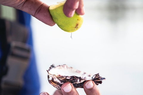 One-Way East Coaster - Tourism Caloundra 0