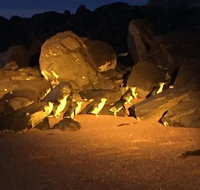 Penguin Tour - Tourism Caloundra