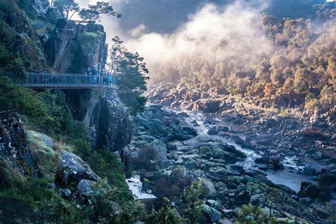 3.5 Hours Walking Tour To Cataract Gorge With Local Guide - Tourism Caloundra 0