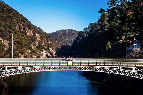 3.5 Hours Walking Tour To Cataract Gorge With Local Guide - Tourism Caloundra 5