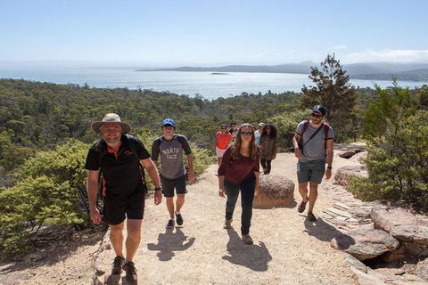 Half-Day Tour To Wineglass Bay From Launceston With Guide - Tourism Caloundra 4