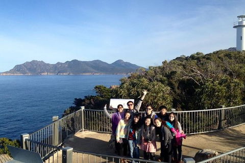 Half-Day Tour To Wineglass Bay From Launceston With Guide - Tourism Caloundra 3