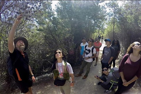 Half-Day Tour To Wineglass Bay From Launceston With Guide - Tourism Caloundra 1
