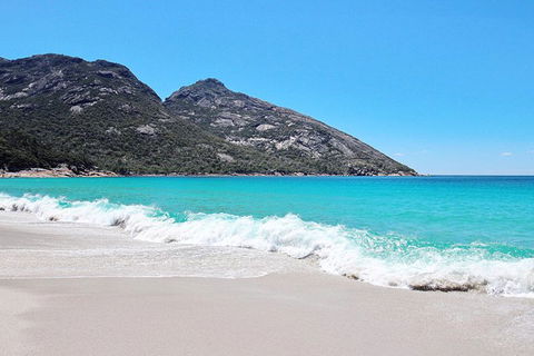 Sea & Explore Wineglass Bay & Freycinet National Park - Cruise & Walk - Tourism Caloundra 4