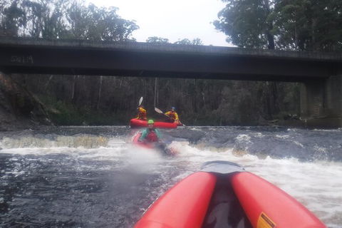 Twin Rivers Winter Adventure - Tourism Caloundra 4