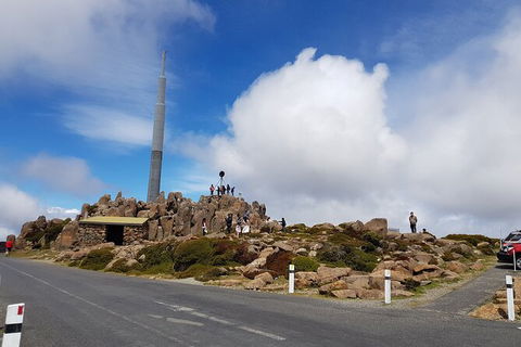 Mt. Wellington Morning Hike + Afternoon Beer & History Walk - Tourism Caloundra 21