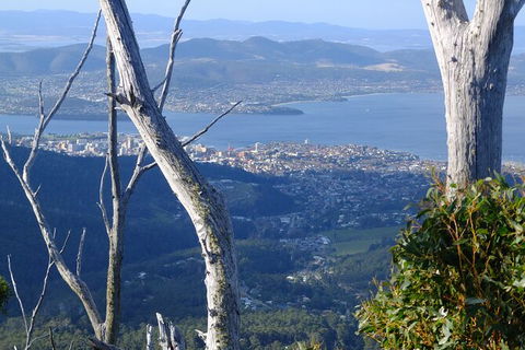 Mt. Wellington Morning Hike + Afternoon Beer & History Walk - Tourism Caloundra 10