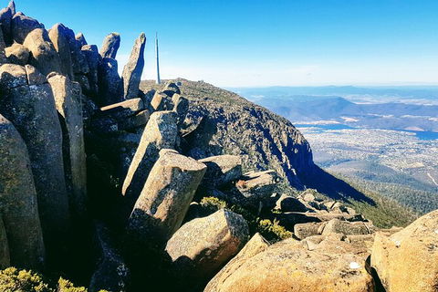 Mt. Wellington Morning Hike + Afternoon Beer & History Walk - Tourism Caloundra 11