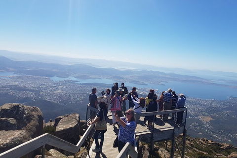 Mt. Wellington Morning Hike + Afternoon Beer & History Walk - Tourism Caloundra 2