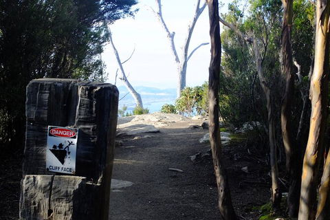 Mt. Wellington Morning Hike + Afternoon Beer & History Walk - Tourism Caloundra 14