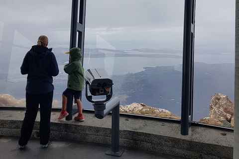 Mt. Wellington Morning Hike + Afternoon Beer & History Walk - Tourism Caloundra 17