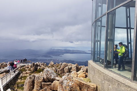 Mt. Wellington Morning Hike + Afternoon Beer & History Walk - Tourism Caloundra 12