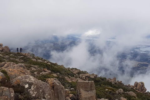 Mt. Wellington Morning Hike + Afternoon Beer & History Walk - Tourism Caloundra 18