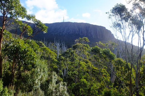 Mt. Wellington Morning Hike + Afternoon Beer & History Walk - Tourism Caloundra 4